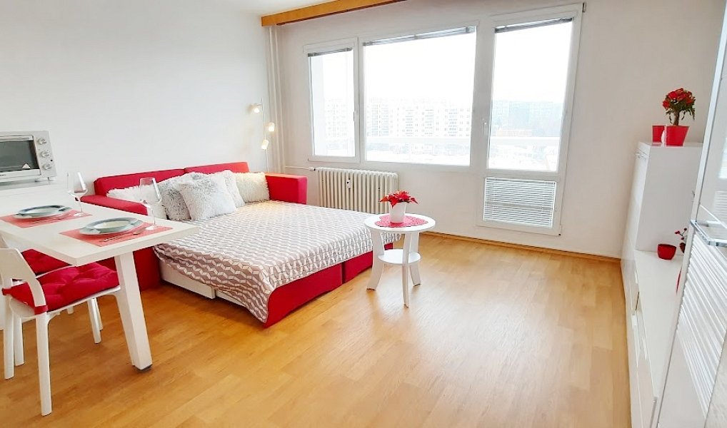 Pronájem bytu 1+kk 38 m², Brno – náhled fotky 10