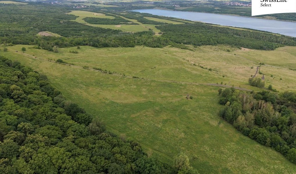Prodej louky 216 333 m², Ústí nad Labem – náhled fotky 5