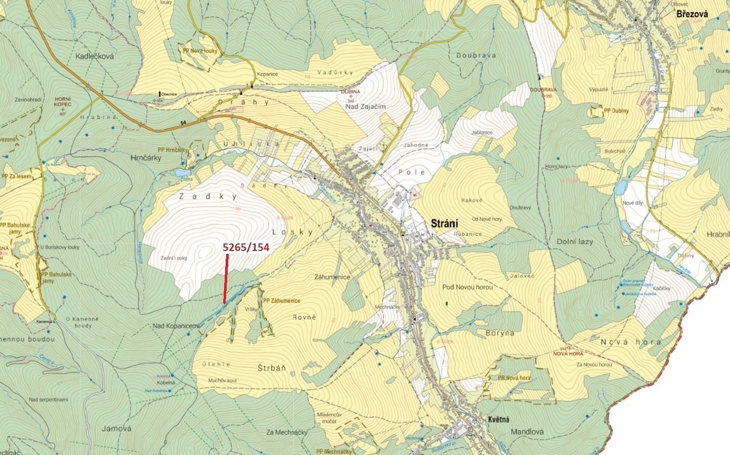 Dražba lesa 16 804 m²