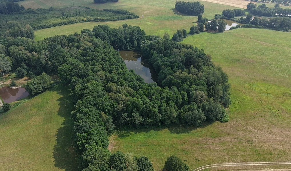 Prodej lesa 360 000 m², Chlum u Třeboně – náhled fotky 2