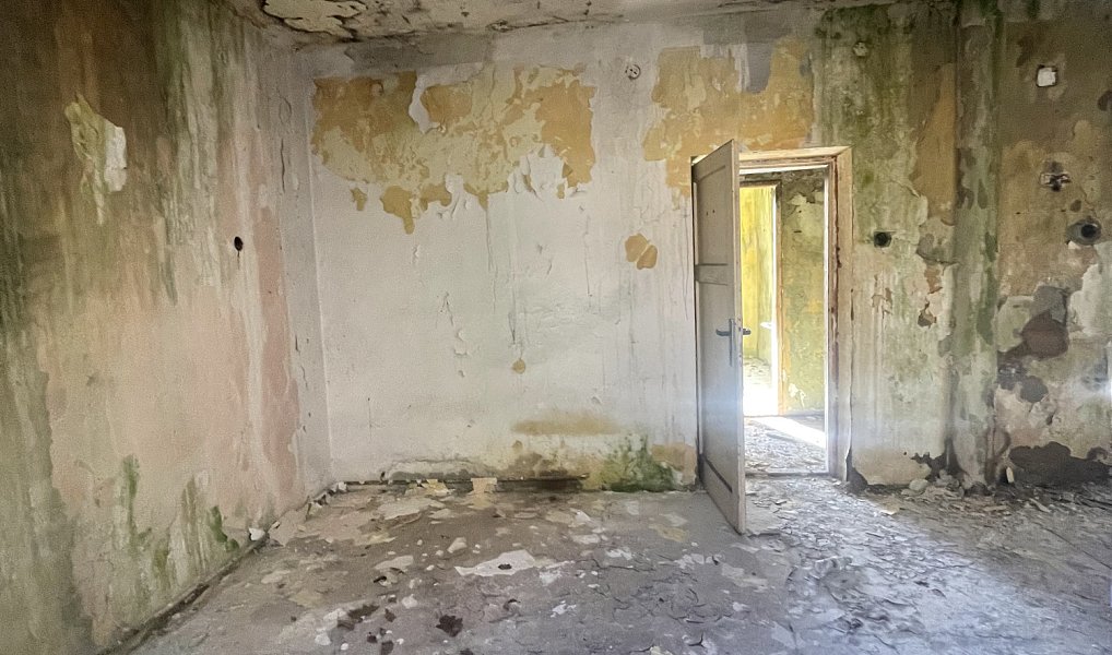 Prodej komerčního pozemku 4 219 m², Kaliště – náhled fotky 16