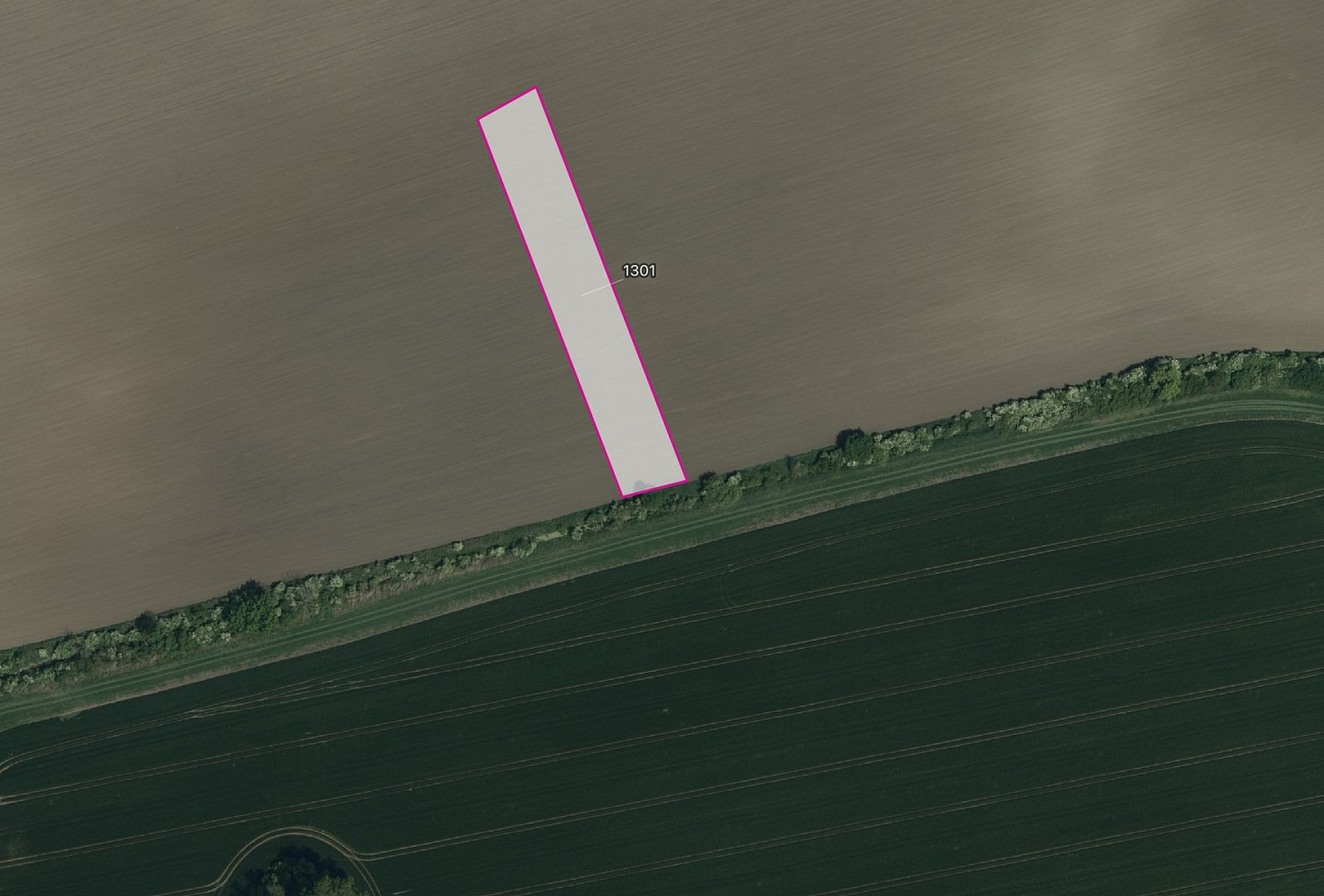 Prodej pole 3 981 m²