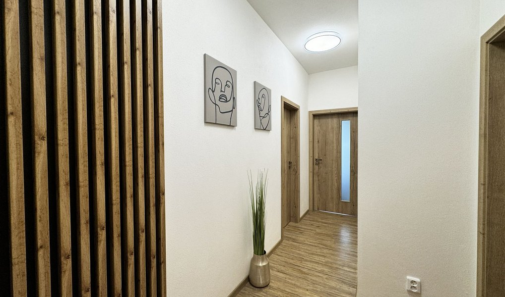 Prodej bytu 2+kk 52 m², České Budějovice – náhled fotky 5