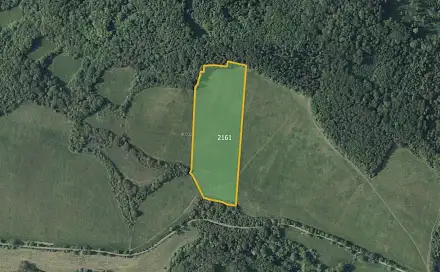 Prodej louky 30 658 m², Řehlovice - Stadice, okres Ústí nad Labem