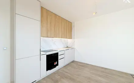 Pronájem bytu 1+kk 31 m², Řepova, Brno - Horní Heršpice
