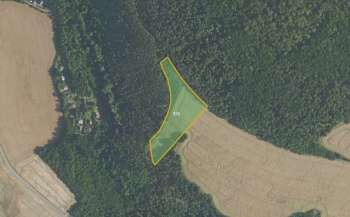 Prodej pole 11 887 m², Velká Lečice, okres Příbram