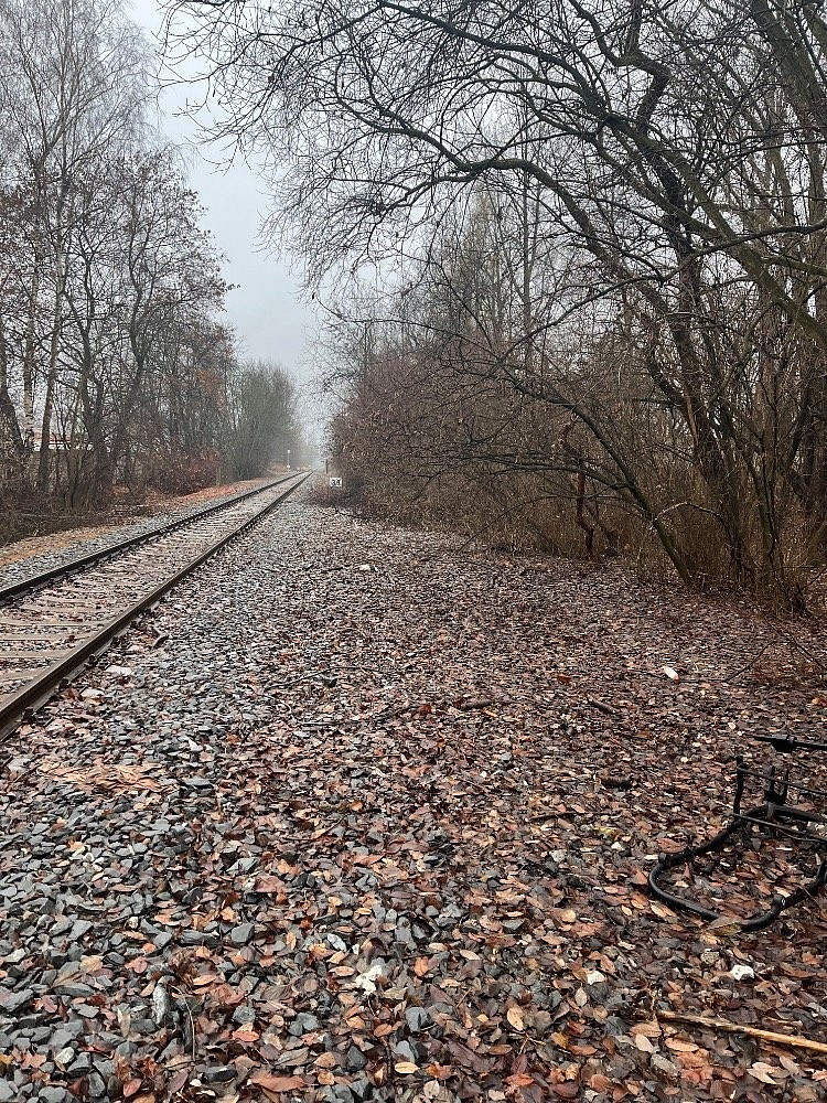 Fotka 9 z 19