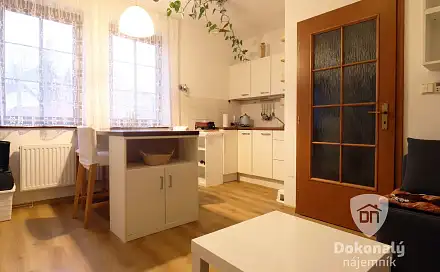 Pronájem bytu 2+kk 35 m²