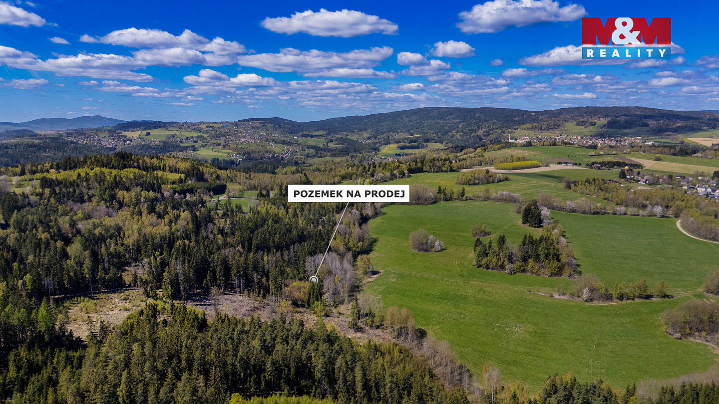Prodej lesa 11 203 m² — photo 5