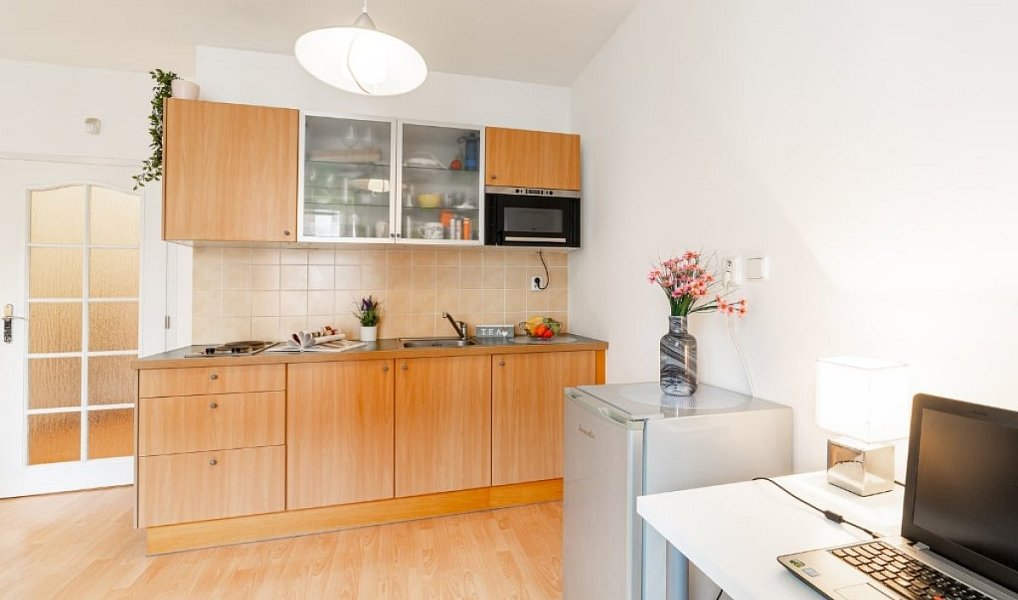 Pronájem bytu 1+kk 33 m², Praha – náhled fotky 5