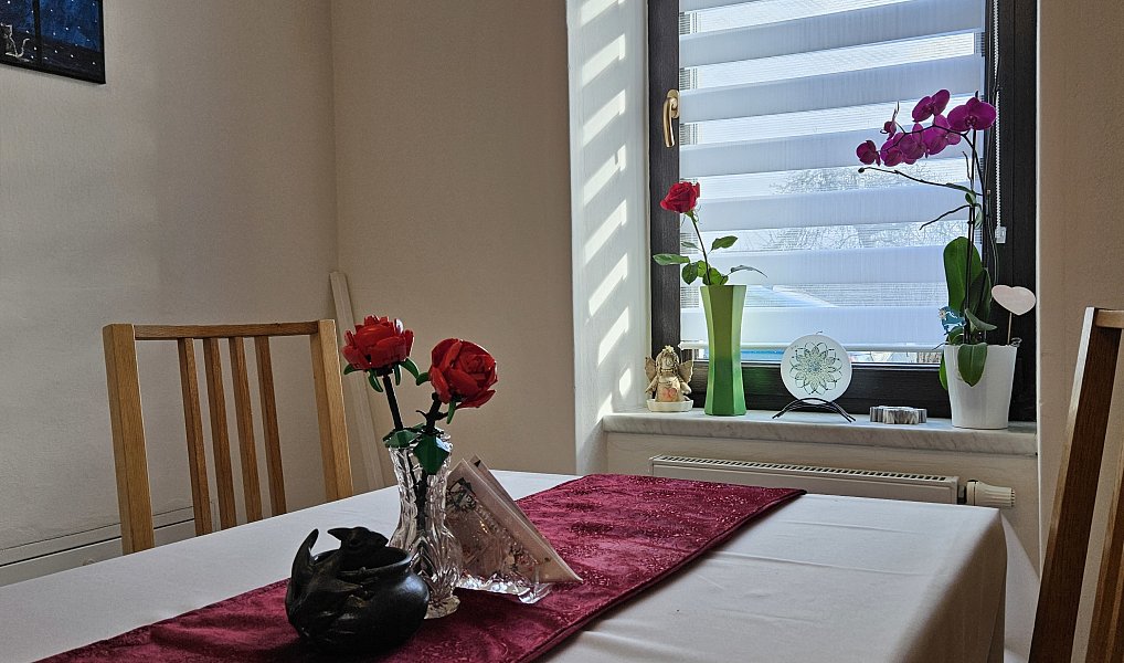 Prodej domu 149 m² s pozemkem 1 110 m², Podlešín – náhled fotky 10