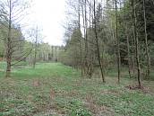 Prodej lesa 3006m2