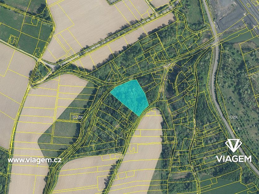 Prodej lesa 999 m² – fotografie 2
