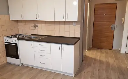 Pronájem bytu 1+1 35 m², Lechowiczova, Ostrava - Moravská Ostrava
