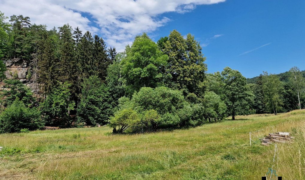 Prodej louky 11 314 m², Janská – náhled fotky 25