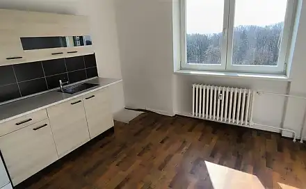 Pronájem bytu 1+1 40 m², Srbská, Ostrava - Výškovice