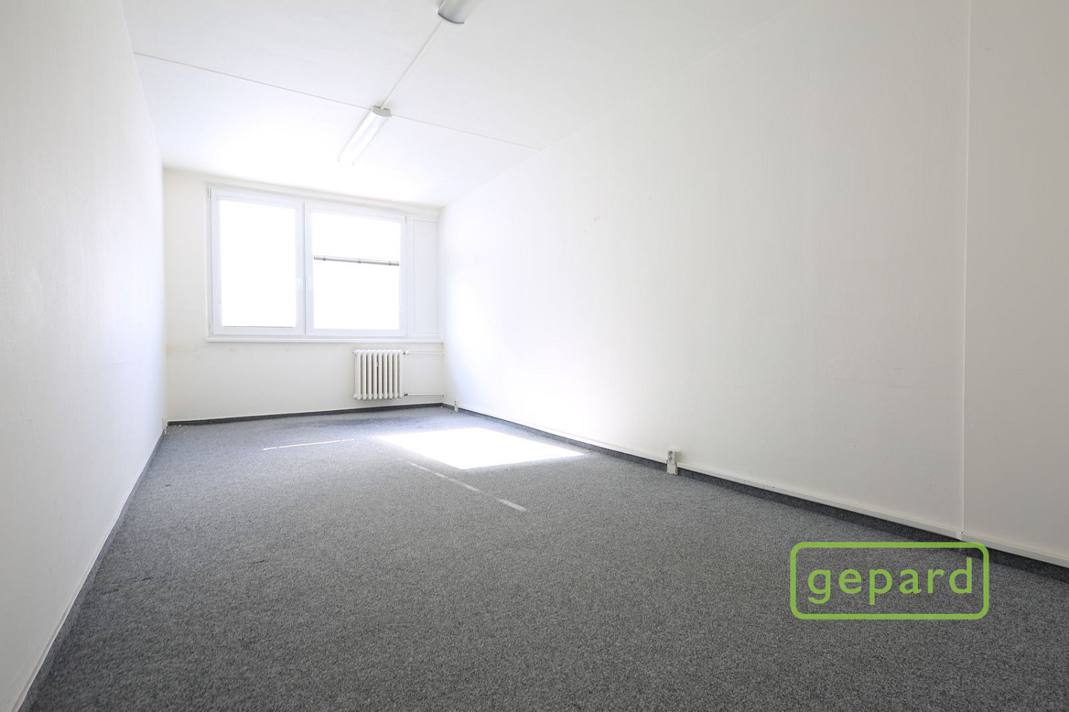 Pronájem kanceláře 48 m² – fotografie 2