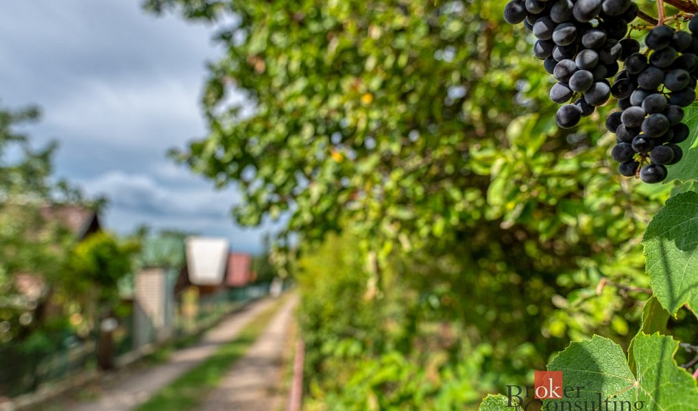 Prodej domu 50 m² s pozemkem 319 m², Praha – náhled fotky 12