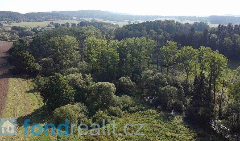 Prodej pozemku 24 285 m², Dolní Dvořiště – náhled fotky 3