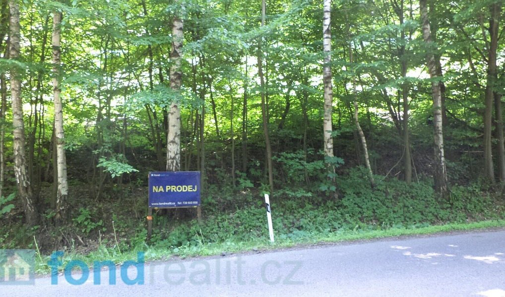Prodej pozemku 4 634 m², Dolní Dobrouč – náhled fotky 9