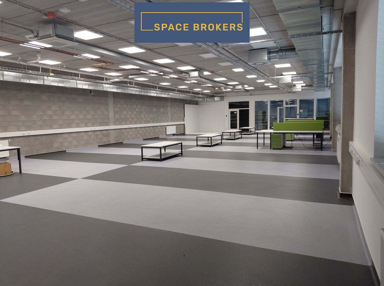 Pronájem skladovacích prostor 4 204 m² – fotografie 5