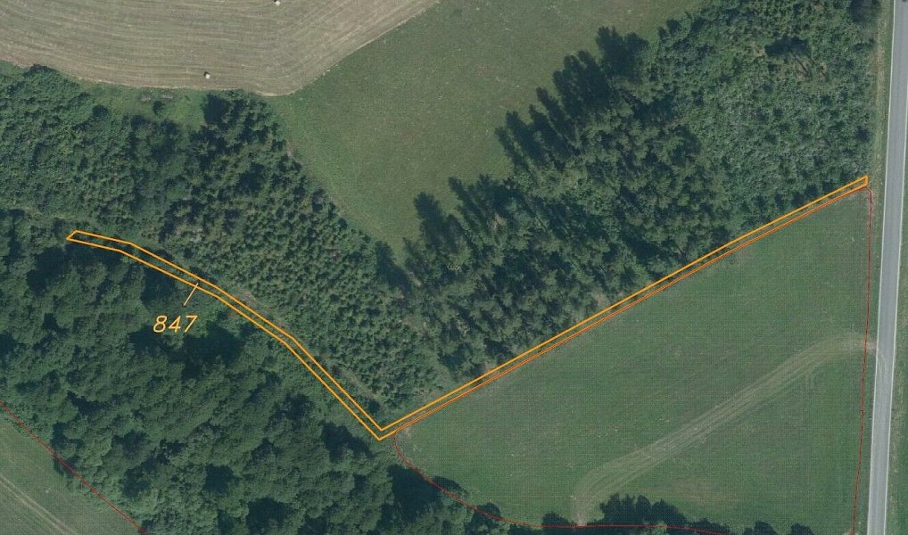 Prodej pozemku 7 130 m², Břidličná – náhled fotky 3