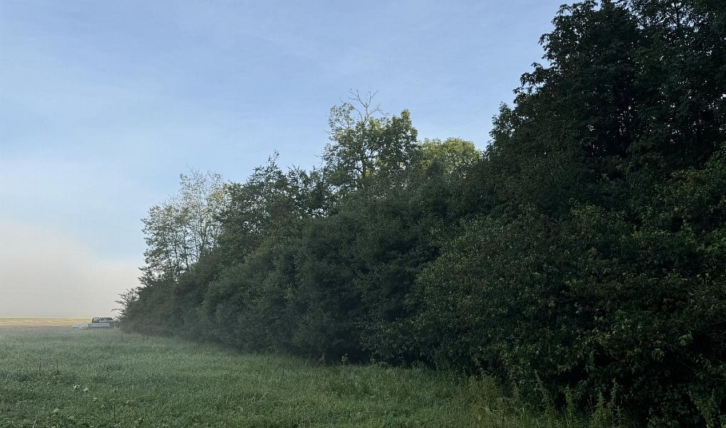 Prodej pozemku 2 784 m², Vršovka – náhled fotky 11