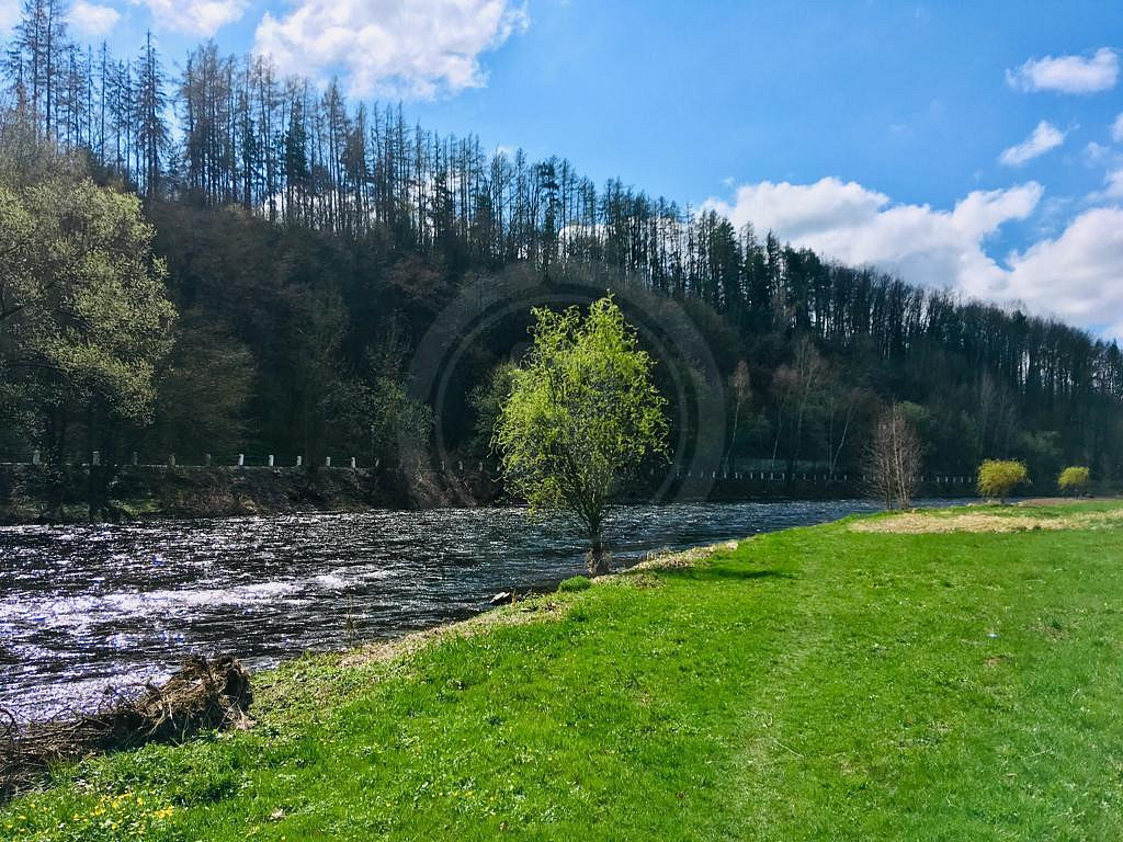 Prodej stavebního pozemku 1 338 m² – fotografie 4