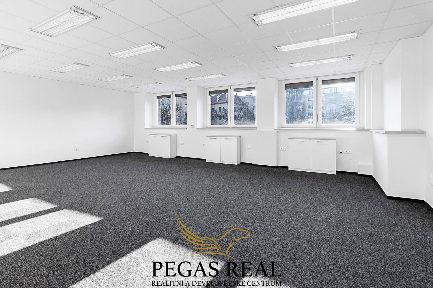 Pronájem kanceláře 215 m² – fotografie 2