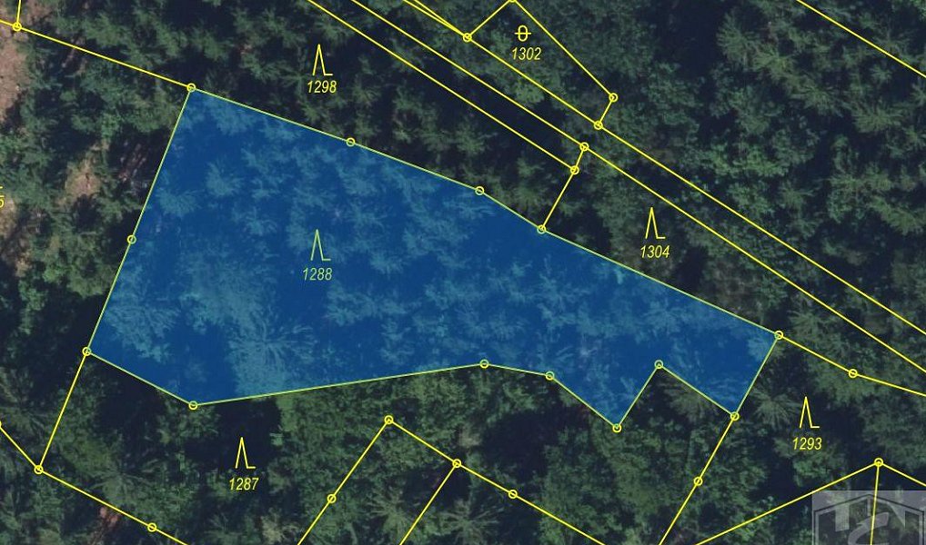 Prodej lesa, 2272 m², Semily, Paseky nad Jizerou
