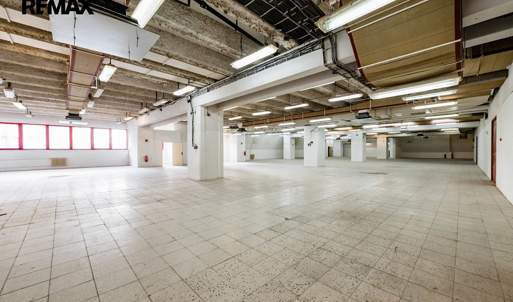 Pronájem výrobních prostor 1 696 m², Týn nad Vltavou – náhled fotky 6