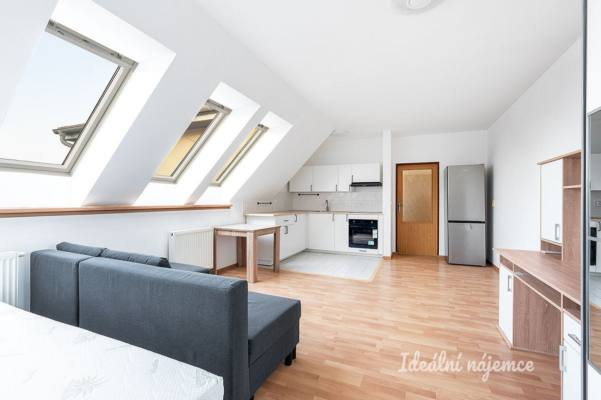 Pronájem bytu 1+kk 38 m²