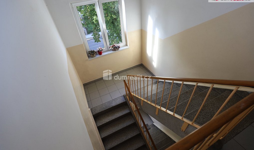 Pronájem bytu 2+1 65 m², Ostrov – náhled fotky 15