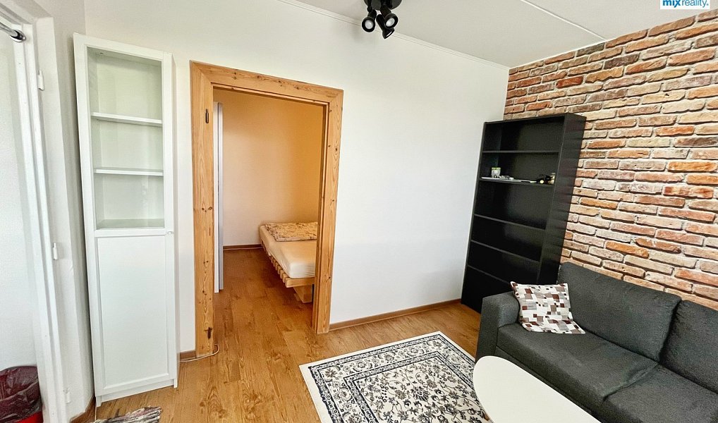 Pronájem bytu 1+1 39 m², Plzeň – náhled fotky 6