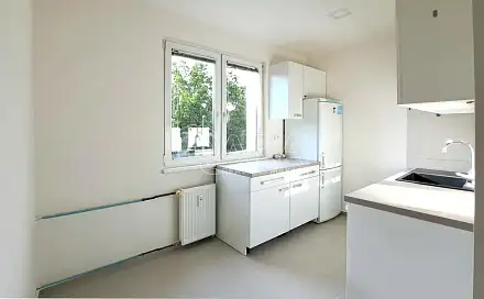 Pronájem bytu 2+1 55 m²