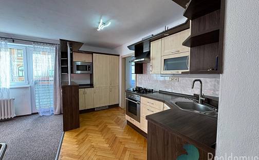 Pronájem bytu 3+kk 60 m², Nerudova, České Budějovice - České Budějovice 3