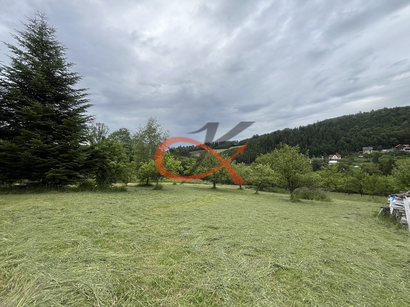 Fotka 12 z 19