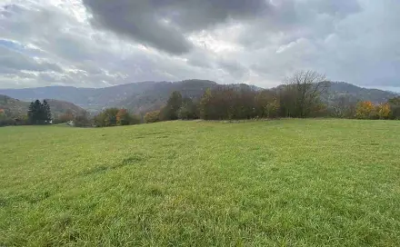 Prodej pozemku 4 431 m², Děčín - Děčín XXVII-Březiny