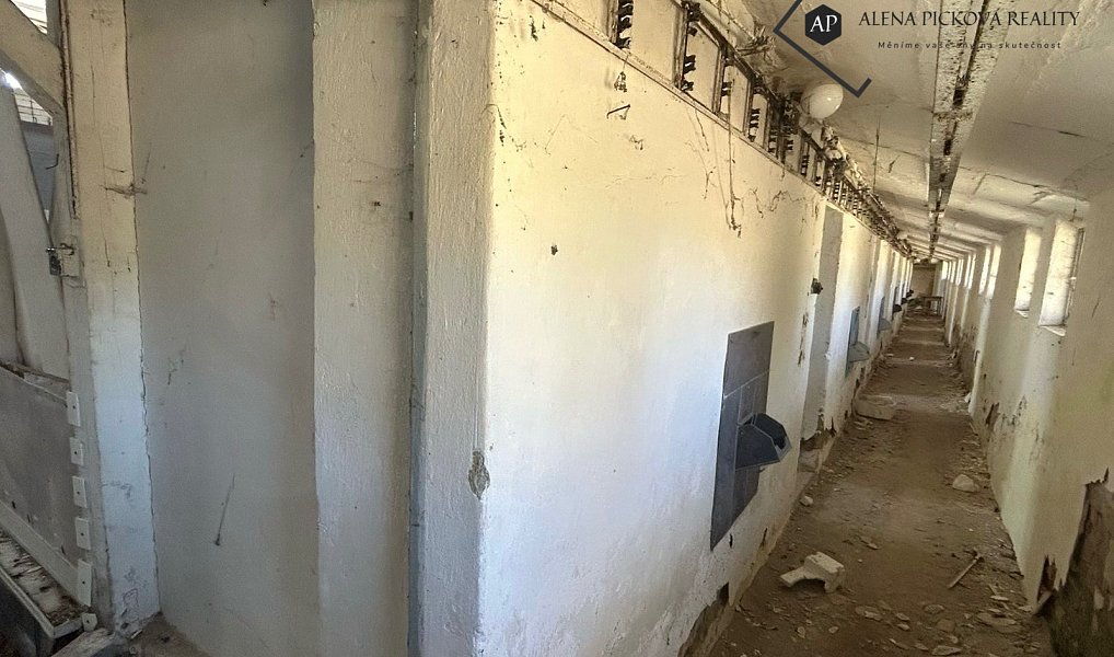 Prodej zemědělského objektu 1 200 m², Louka – náhled fotky 8