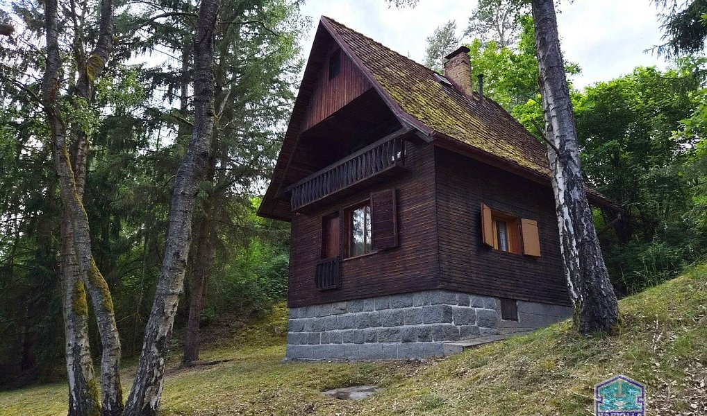 Prodej chaty/chalupy 59 m² s pozemkem 45 m², Svojšín – náhled fotky 2