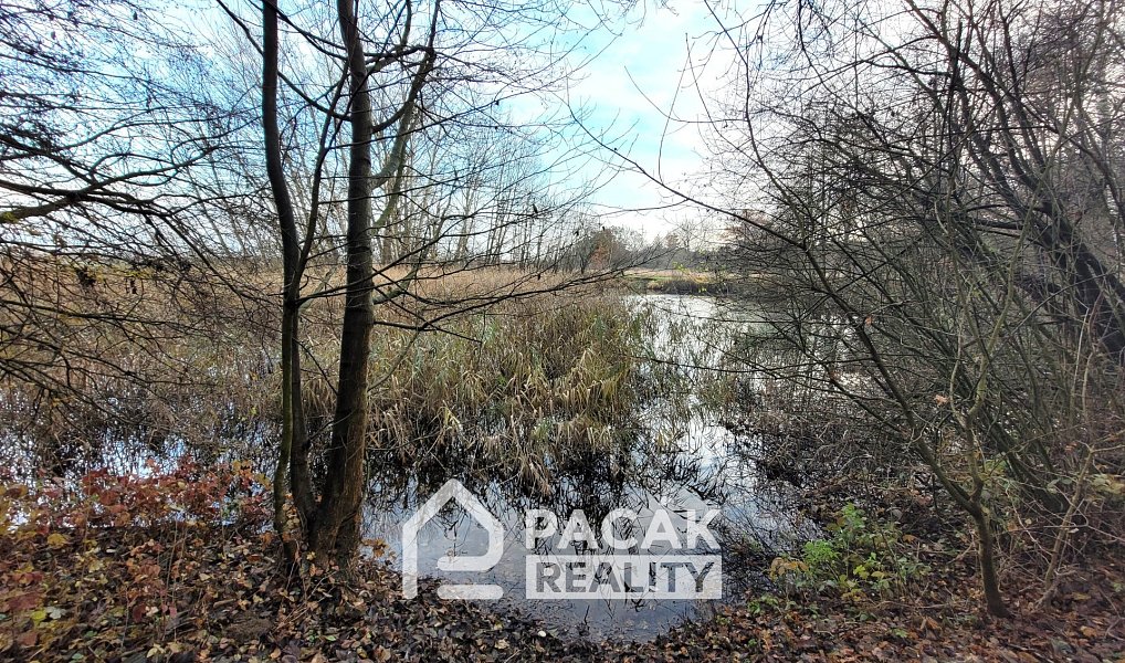 Prodej pole 15 995 m², Kožušany-Tážaly – náhled fotky 15