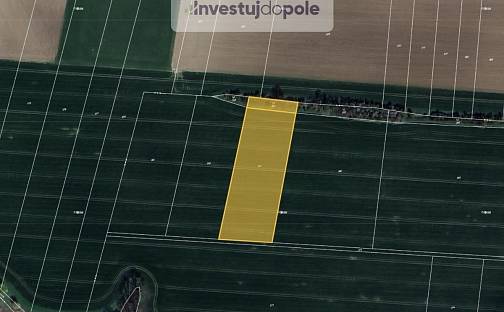 Prodej pole 1 362 m², Čepí, okres Pardubice