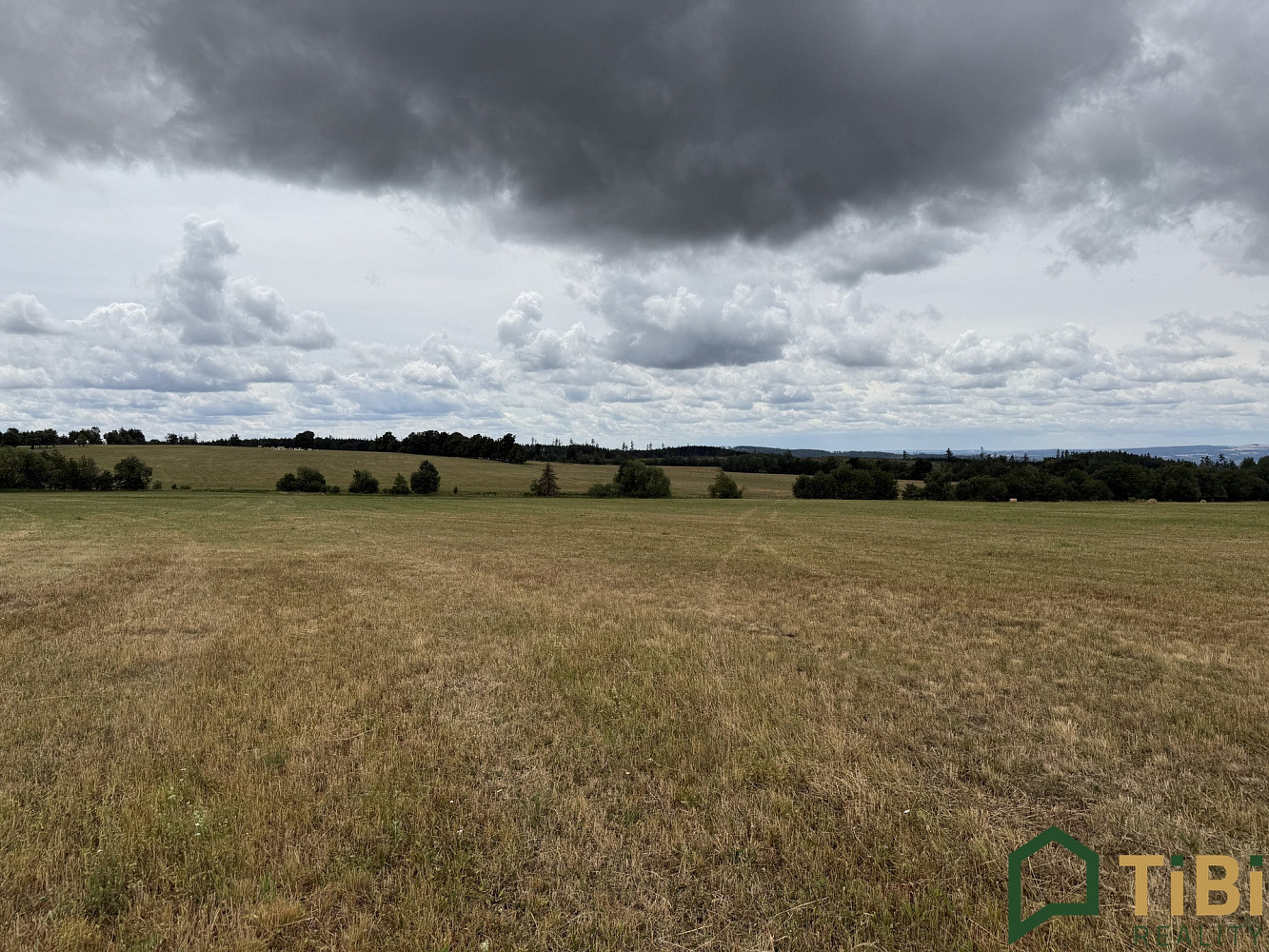 Prodej pole 2 000 m²