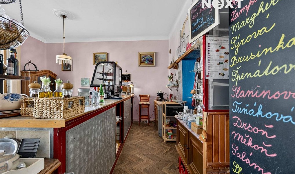 Prodej domu 198 m² s pozemkem 280 m², Kasejovice – náhled fotky 11