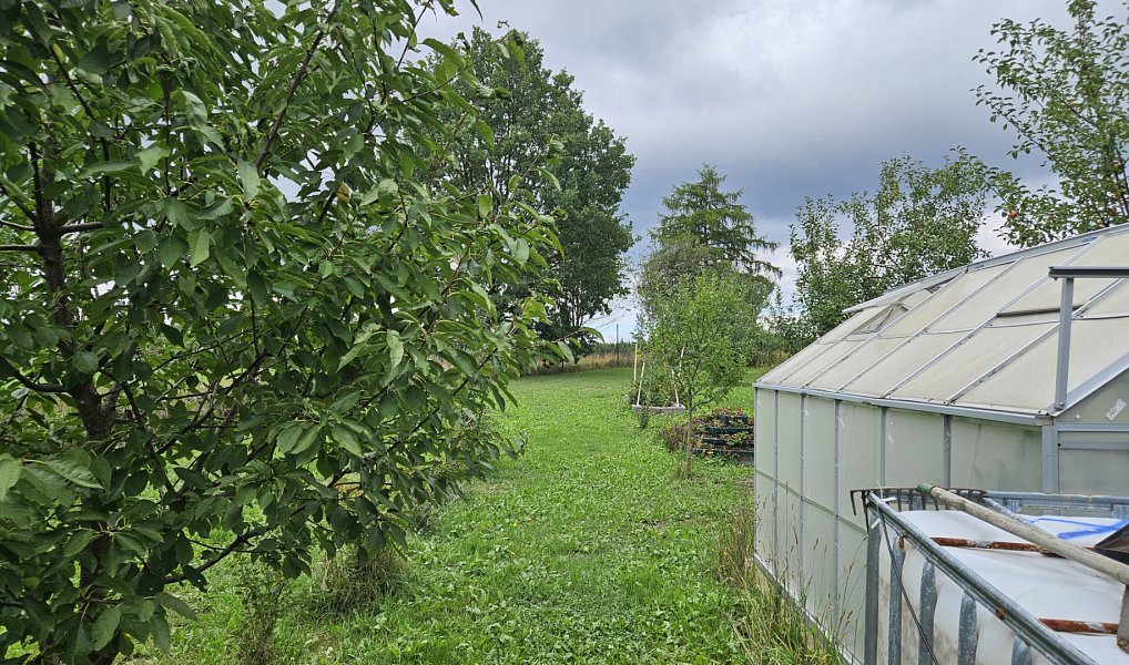 Prodej stavebního pozemku 2 288 m², Zbýšov – náhled fotky 2