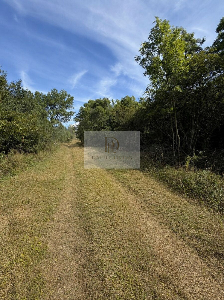 Prodej stavebního pozemku 1 591 m² – fotografie 2