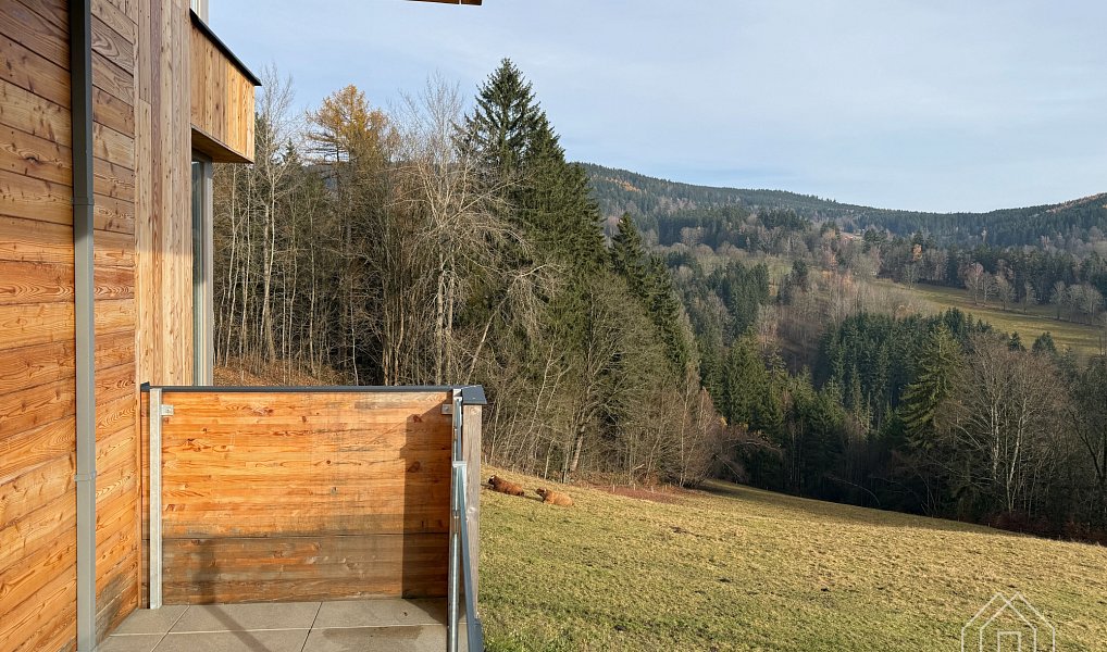 Prodej nájemního domu, činžáku 96 m², Vítkovice – náhled fotky 13