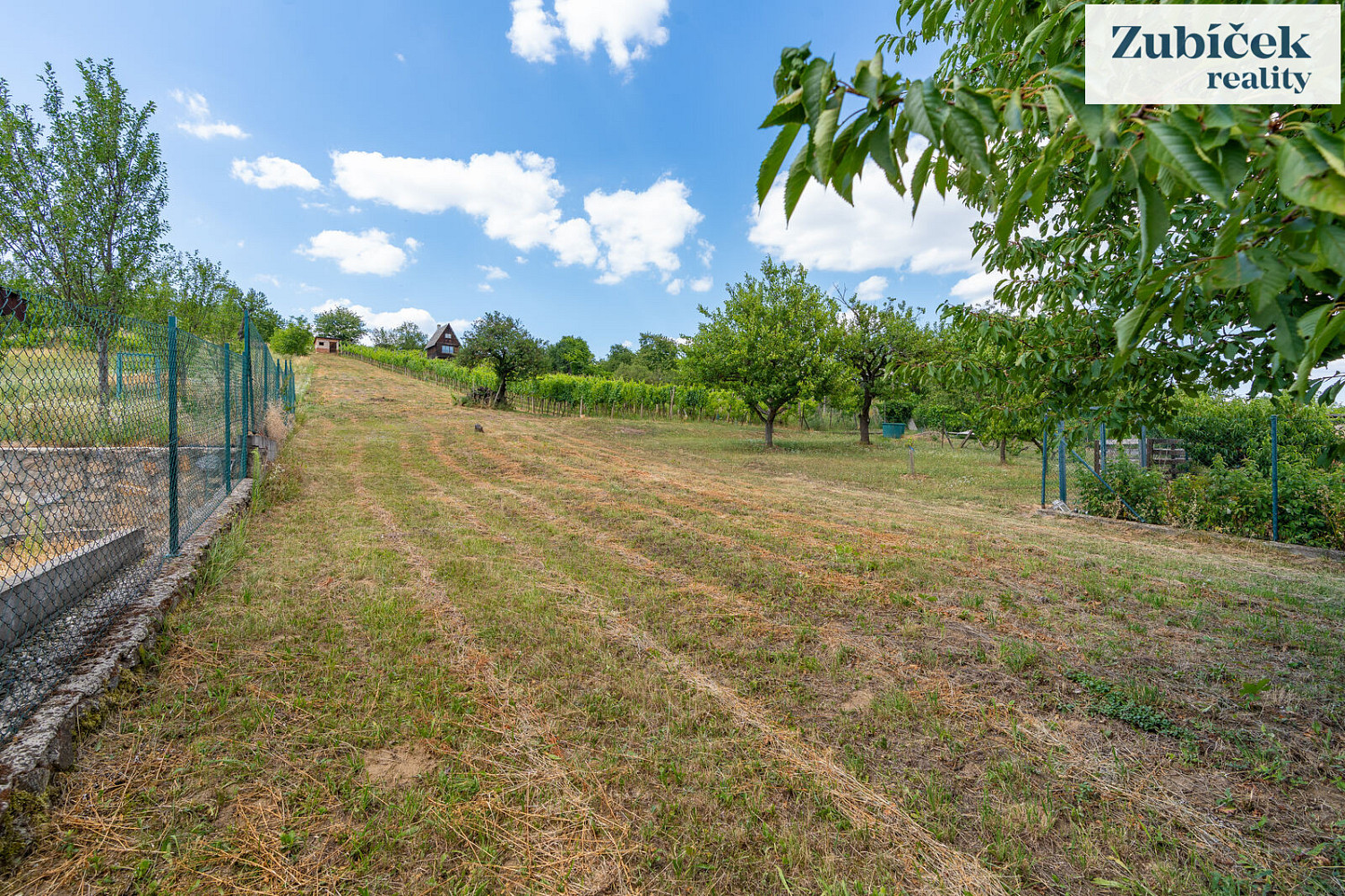Prodej stavebního pozemku 2 654 m² – fotografie 4