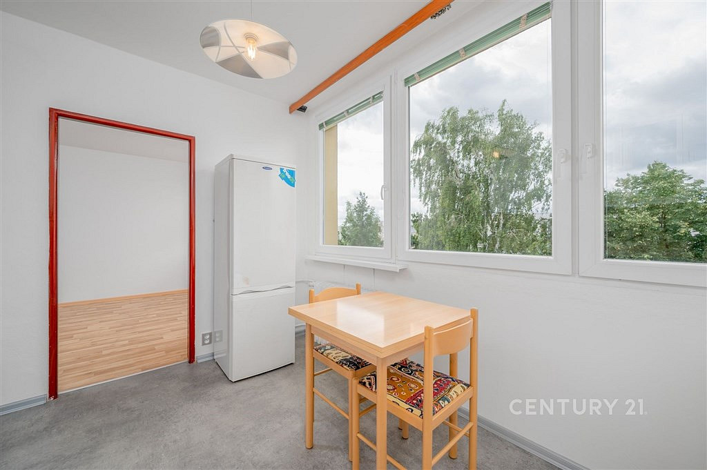 Pronájem bytu 1+1 45 m² — photo 2