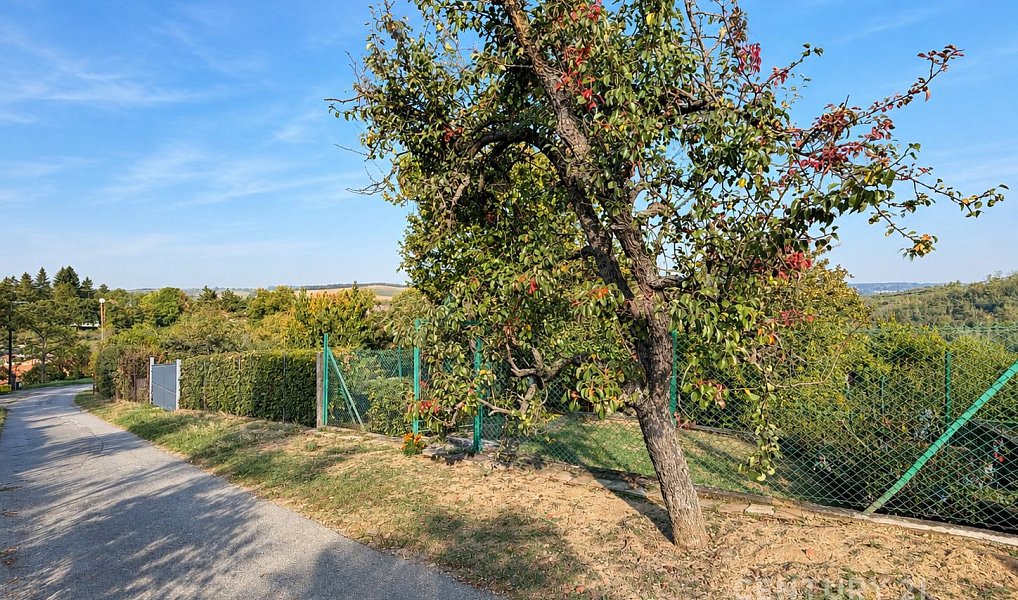 Prodej domu 150 m² s pozemkem 645 m², Velatice – náhled fotky 5